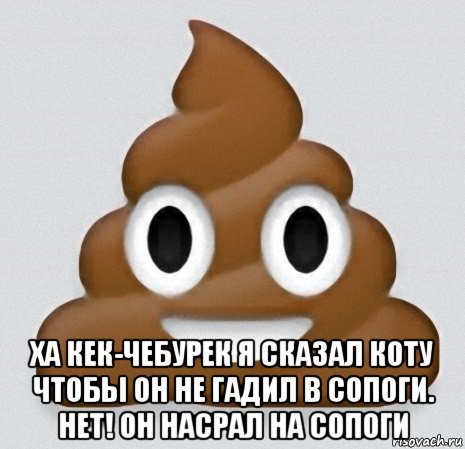  ха кек-чебурек я сказал коту чтобы он не гадил в сопоги. нет! он насрал на сопоги, Мем какашка