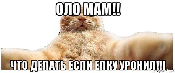 оло мам!! что делать если елку уронил!!!