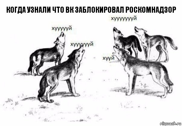 когда узнали что вк заблокировал роскомнадзор, Комикс Когда хочешь