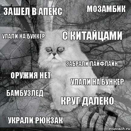 Зашел в апекс Упали на бункер С китайцами Украли рюкзак Оружия нет Мозамбик Круг далеко Упали на бункер Бамбузлед Забрали Лайфлайн, Комикс  кот безысходность