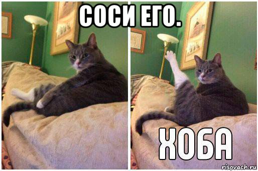 соси его. , Комикс Кот Хоба