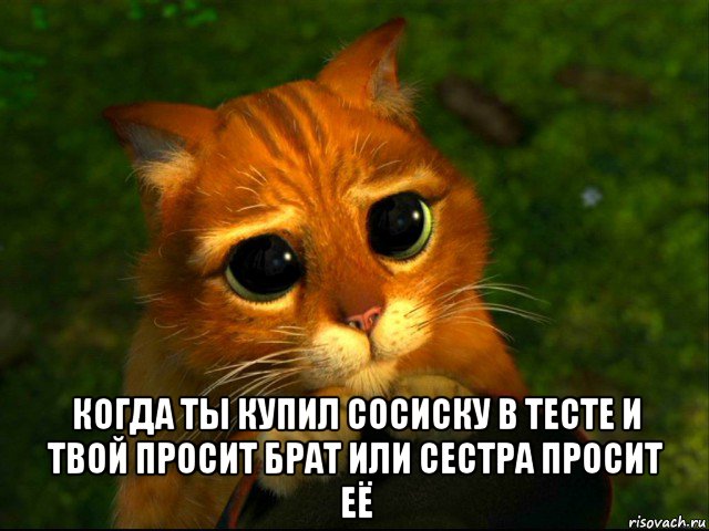  когда ты купил сосиску в тесте и твой просит брат или сестра просит её, Мем кот из шрека