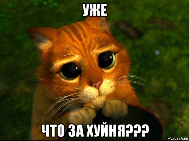 уже что за хуйня???, Мем кот из шрека