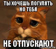 ты хочешь погулять но тебя не отпускают