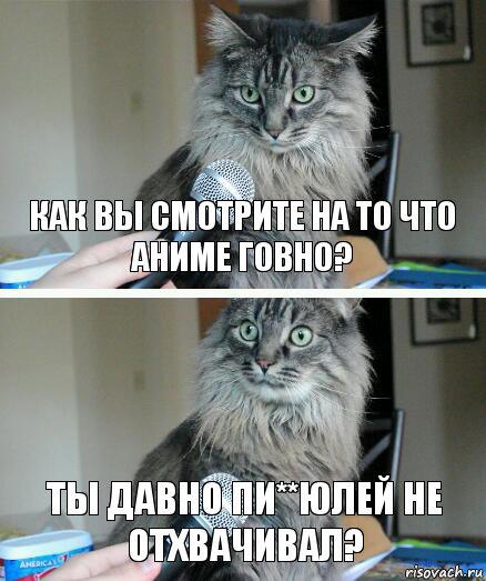 Как вы смотрите на то что аниме говно? Ты давно пи**юлей не отхвачивал?, Комикс  кот с микрофоном