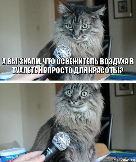 А вы знали, что освежитель воздуха в туалете не просто для красоты? , Комикс  кот с микрофоном