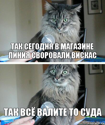 так сегодня в магазине линия своровали вискас так всё валите то суда, Комикс  кот с микрофоном