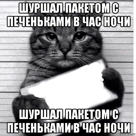 шуршал пакетом с печеньками в час ночи шуршал пакетом с печеньками в час ночи, Мем Кот с табличкой