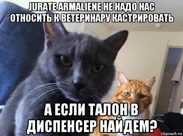 jurate armaliene не надо нас относить к ветеринару кастрировать а если талон в диспенсер найдем?, Мем  Два котэ