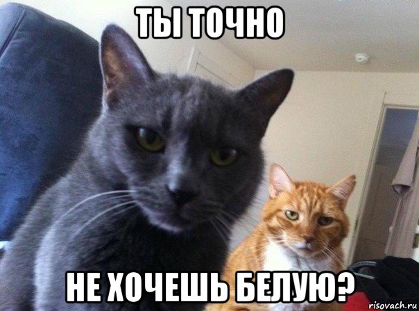 ты точно не хочешь белую?, Мем  Два котэ