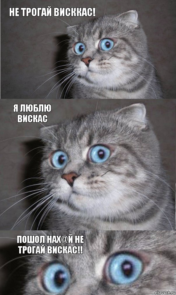 не трогай висккас! я люблю вискас пошол нах@й не трогай вискас!!, Комикс  котейка