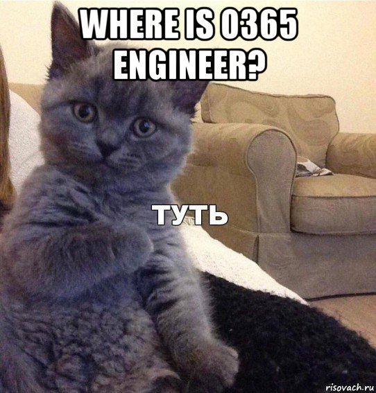 where is o365 engineer? , Мем Котик - Туть