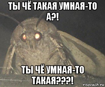 ты чё такая умная-то а?! ты чё умная-то такая???!, Мем Матылёк