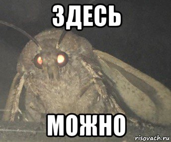 здесь можно, Мем Матылёк