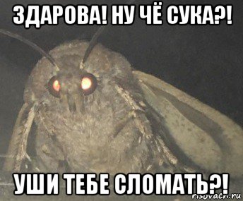 здарова! ну чё сука?! уши тебе сломать?!, Мем Матылёк