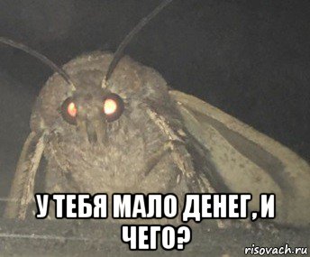  у тебя мало денег, и чего?, Мем Матылёк