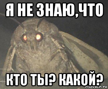 я не знаю,что кто ты? какой?, Мем Матылёк