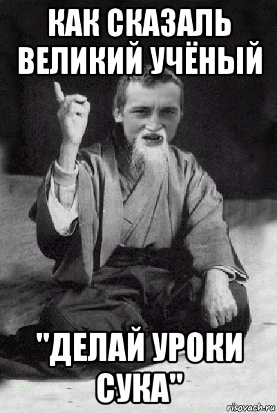 как сказаль великий учёный "делай уроки сука", Мем Мудрий паца