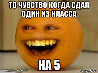 то чувство когда сдал один из класса на 5, Мем Надоедливый апельсин