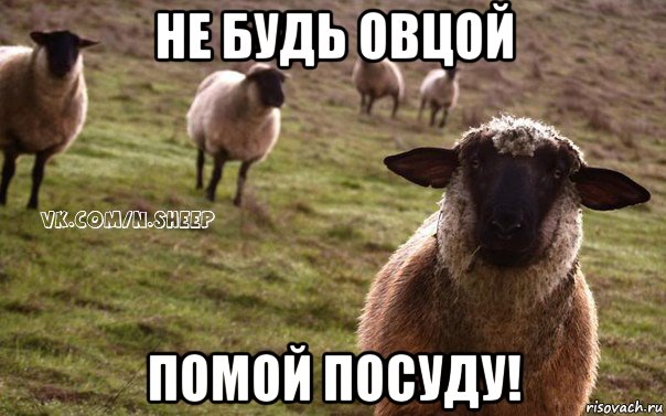 не будь овцой помой посуду!, Мем  Наивная Овца