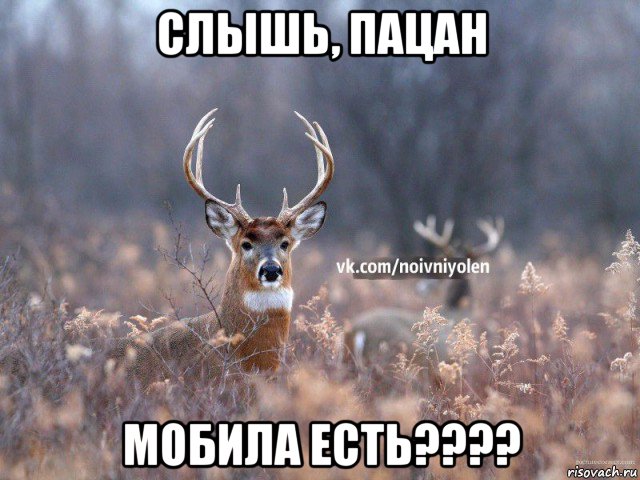 слышь, пацан мобила есть????