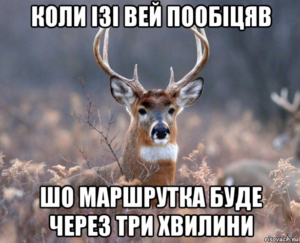 коли ізі вей пообіцяв шо маршрутка буде через три хвилини, Мем   Наивный олень