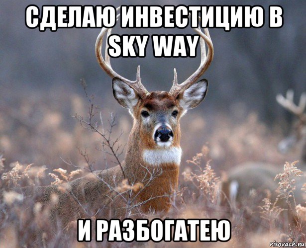 сделаю инвестицию в sky way и разбогатею, Мем   Наивный олень