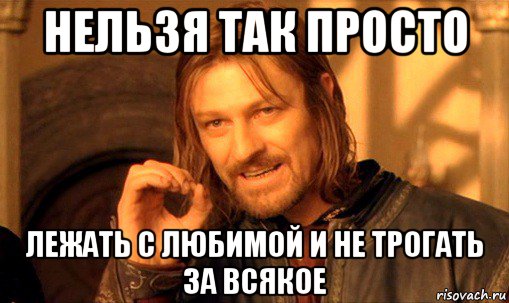 нельзя так просто лежать с любимой и не трогать за всякое, Мем Нельзя просто так взять и (Боромир мем)