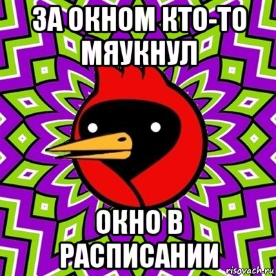 за окном кто-то мяукнул окно в расписании, Мем Омская птица