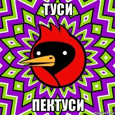 туси пектуси, Мем Омская птица