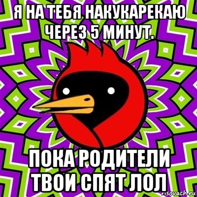 я на тебя накукарекаю через 5 минут. пока родители твои спят лол, Мем Омская птица