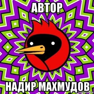 автор надир махмудов, Мем Омская птица