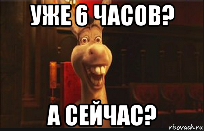 уже 6 часов? а сейчас?, Мем Осел из Шрека