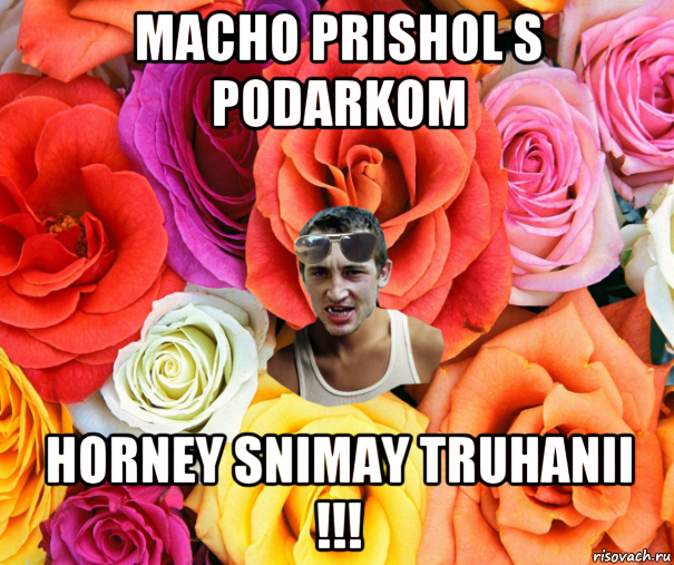 macho prishol s podarkom horney snimay truhanii !!!