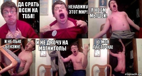 да срать всем на тебя! ненавижу этот мир! я не ем мышей! и не пью бензин! и не дрочу на магнитолы о, моя ласточка!