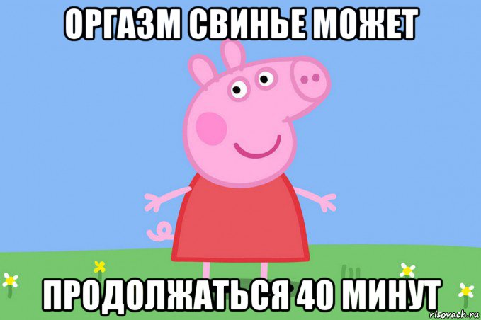 оргазм свинье может продолжаться 40 минут, Мем Пеппа