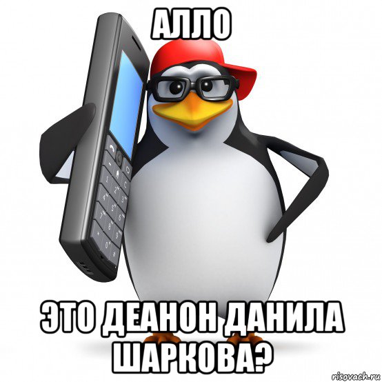 алло это деанон данила шаркова?, Мем   Пингвин звонит