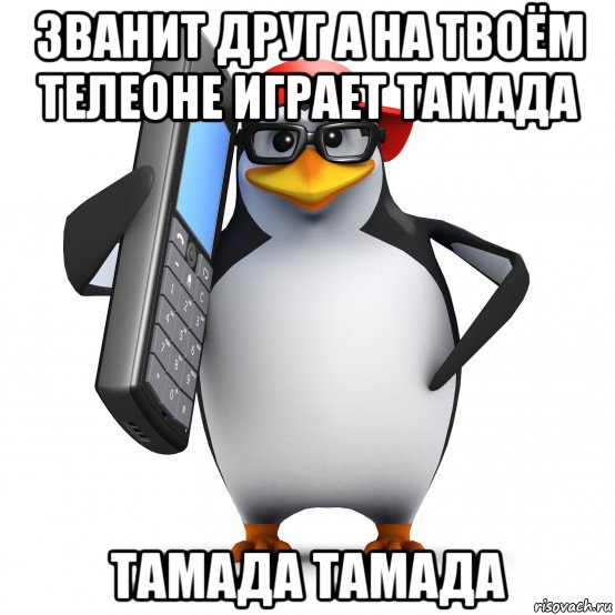 званит друг а на твоём телеоне играет тамада тамада тамада, Мем   Пингвин звонит