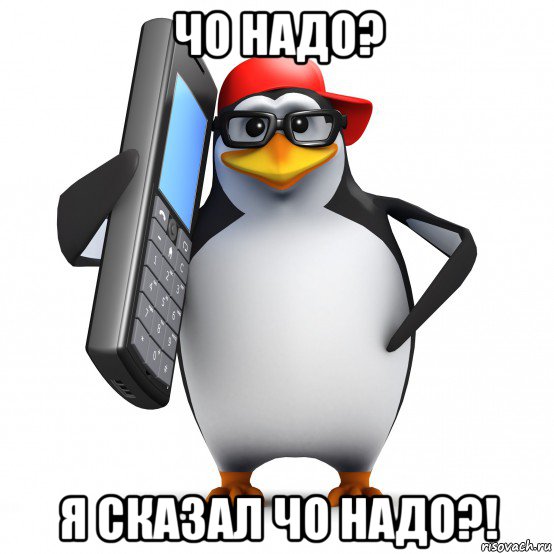 чо надо? я сказал чо надо?!, Мем   Пингвин звонит