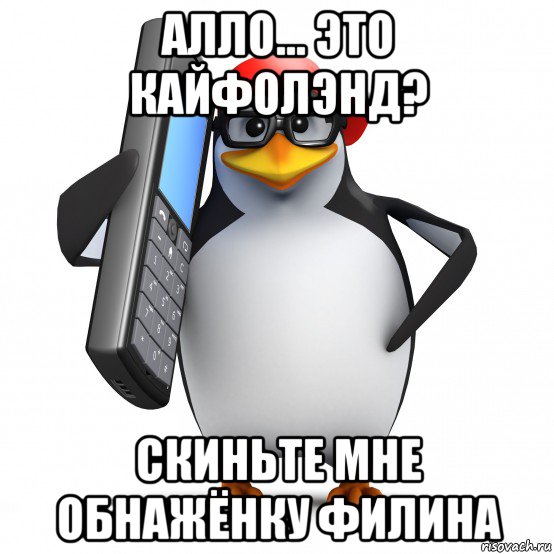 алло... это кайфолэнд? скиньте мне обнажёнку филина, Мем   Пингвин звонит