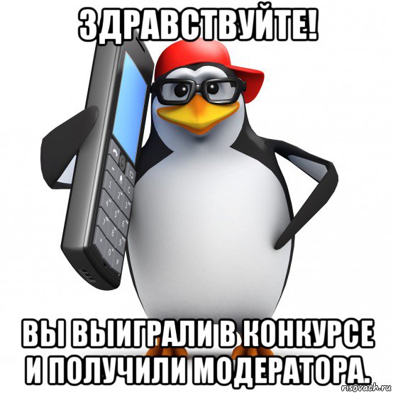 здравствуйте! вы выиграли в конкурсе и получили модератора., Мем   Пингвин звонит