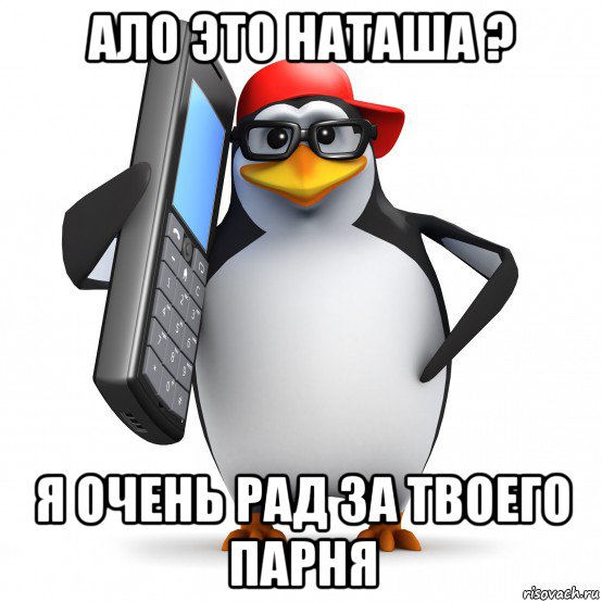 ало это наташа ? я очень рад за твоего парня, Мем   Пингвин звонит