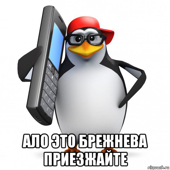  ало это брежнева приезжайте, Мем   Пингвин звонит