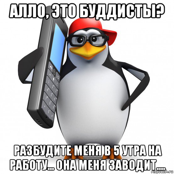 алло, это буддисты? разбудите меня в 5 утра на работу... она меня заводит...., Мем   Пингвин звонит