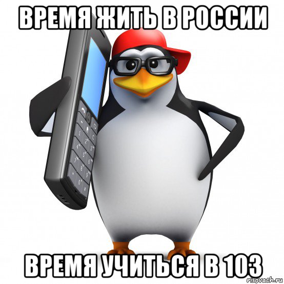 время жить в россии время учиться в 103, Мем   Пингвин звонит