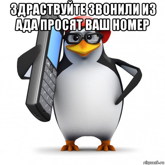 здраствуйте звонили из ада просят ваш номер , Мем   Пингвин звонит