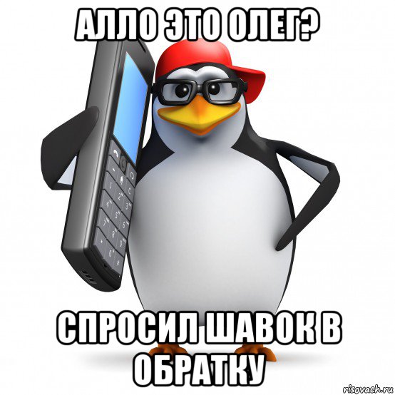 алло это олег? спросил шавок в обратку, Мем   Пингвин звонит