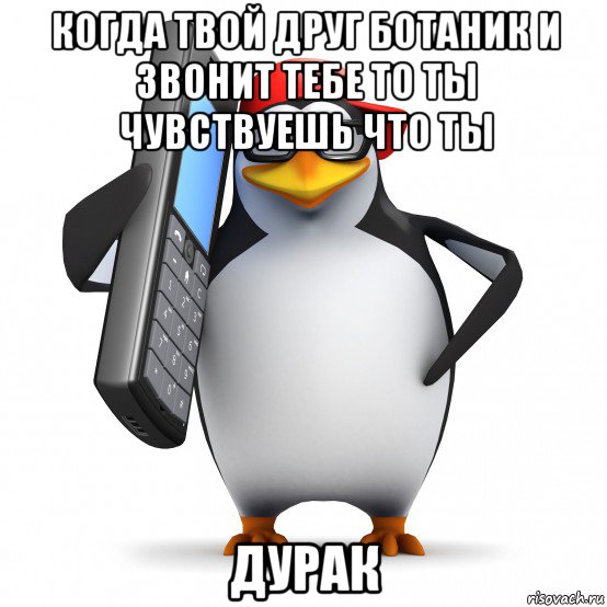 когда твой друг ботаник и звонит тебе то ты чувствуешь что ты дурак, Мем   Пингвин звонит