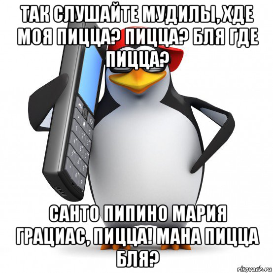 так слушайте мудилы, хде моя пицца? пицца? бля где пицца? санто пипино мария грациас, пицца! мана пицца бля?, Мем   Пингвин звонит