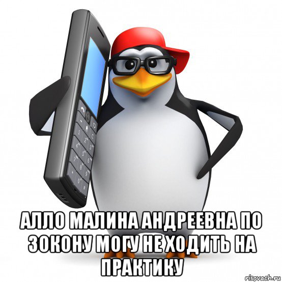  алло малина андреевна по зокону могу не ходить на практику, Мем   Пингвин звонит